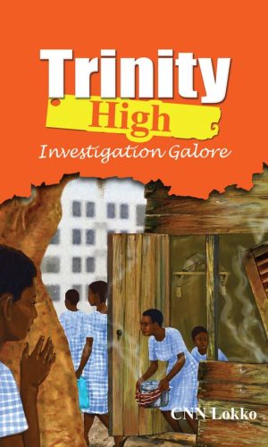 Trinity High: Investigation Galore (Trinity High Vol 3)