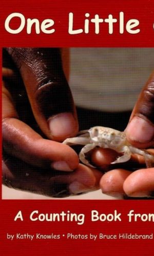 One Little Crab: A Counting Book from Ghana