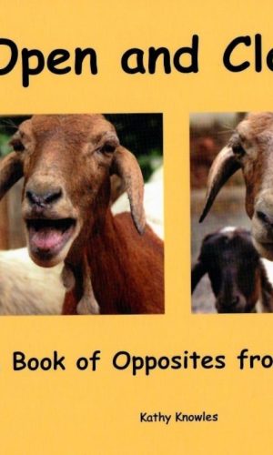 Open and Closed: A Book of Opposites from Ghana