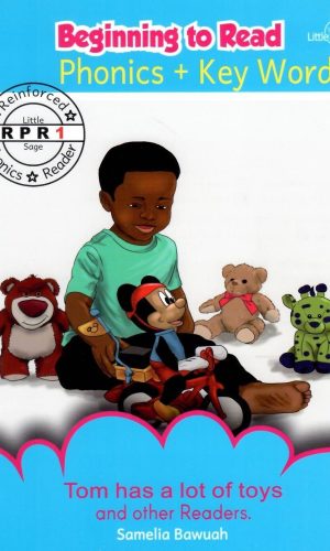 Little Sage Beginning to Read: Phonics + Key Words (Reinforced Phonics Reader #1)