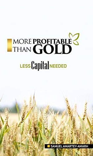 E-Book: More Profitable Than Gold - Less Capital Needed