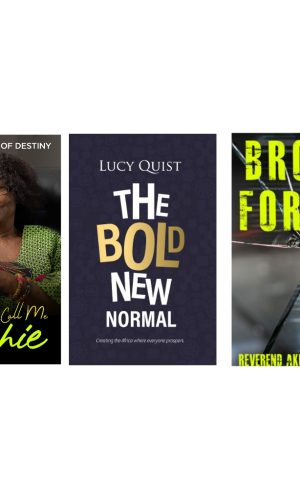 Booknook Leadership Pack: They Call Me Archie, The Bold New Normal, Broken for Use (3 Exceptional Ghanaian Leaders)0