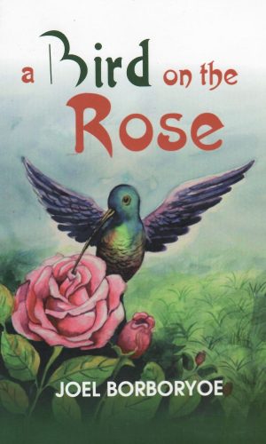 A Bird on the Rose