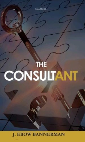 The Consultant