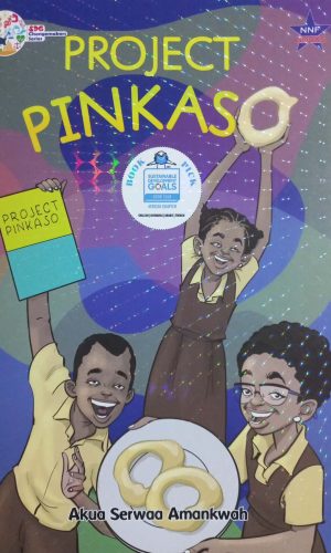 Project Pinkaso (SDG Changemakers Series)