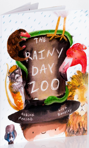 Rainy Day Zoo