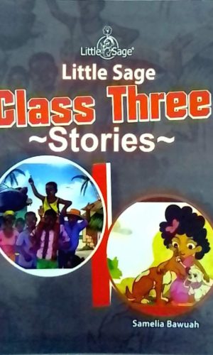Class Three Stories (Little Sage Beginning to Read)