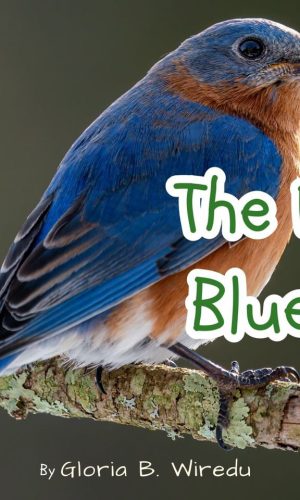 The Noisy Bluebird